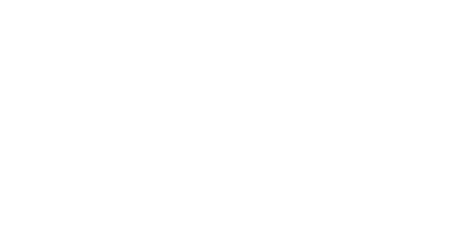 FDE Logo